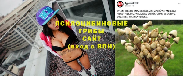 сатива Покровск